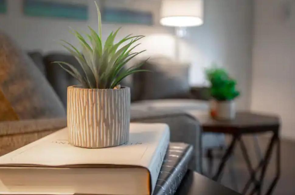 Modern Westshore Apartment Tampa Extérieur photo